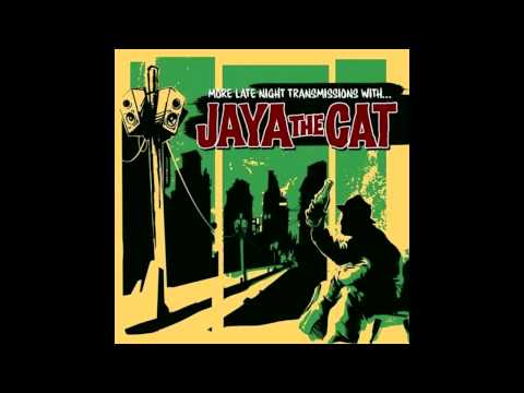 Jaya the cat - Night Bus