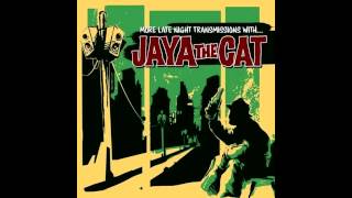 Jaya the cat - Night Bus