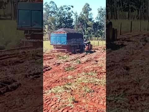 São Pedro Do Paraná É O Palco Do Momento