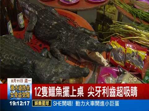 鱷魚咬蘋果當供品 普渡大驚奇!