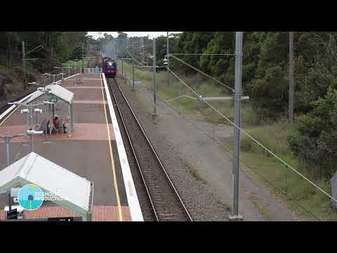 Diesel Locomotives 4001, 4306, 4833 & 7350 - Kotara - April 2024