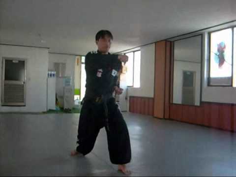 Hapkido Man