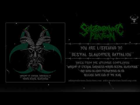 Schizoparanoic Platoon-Bestial Slaughter Battalion(Track)