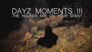 DayZ - Moments III