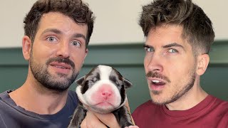 My Ex Boyfriend Showed Up to Adopt a Puppy...