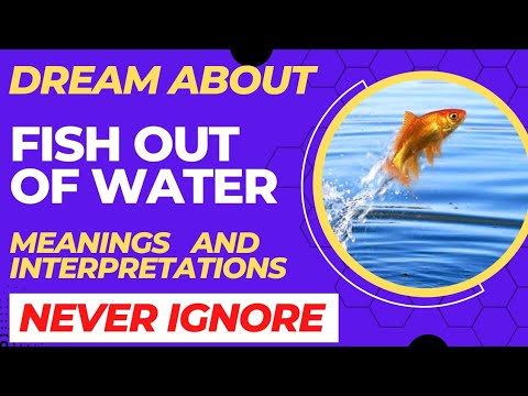 Dream about fish out of water Meaning | Interpretation of Dream about Fish Jumping Out of Water