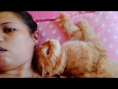 I Made Him Upset, Poor Selim