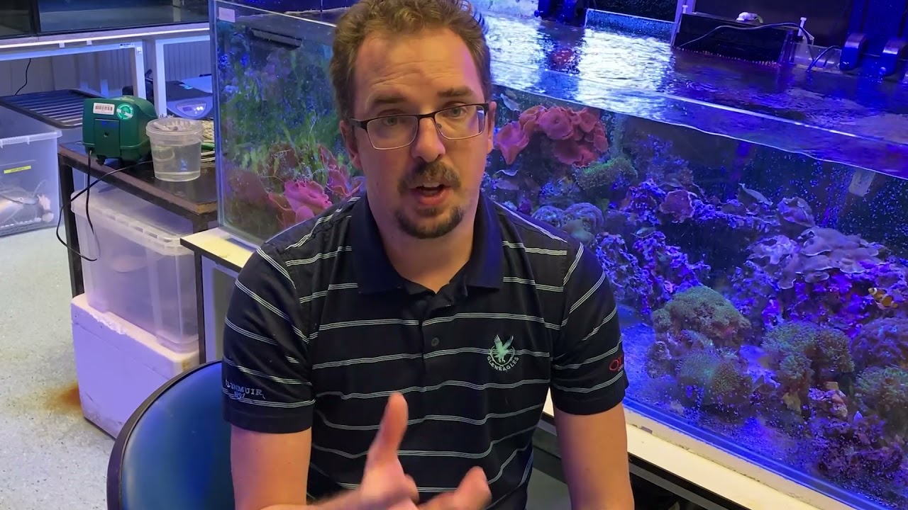 Video of Professor Michael Sweet explaining the importance of reducing our carbon footprint and how coral can act as a warning sign for climate impact. 