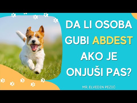 Da li osoba gubi abdest ako je onjuši pas? - mr. Elvedin Pezić