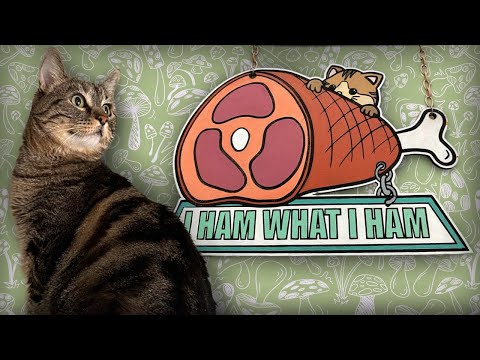 Cat Climbing Wall: Penny the cat edition!