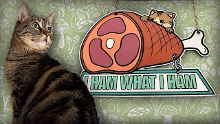 Download lagu Cat Climbing Wall: Penny the cat edition! mp3 Download lagu Cat Climbing Wall: Penny the cat edition! mp3