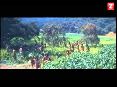 CANAL ZTV - PROMO - EL PLANETA DE LOS SIMIOS