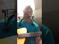 Stink Bug Blues