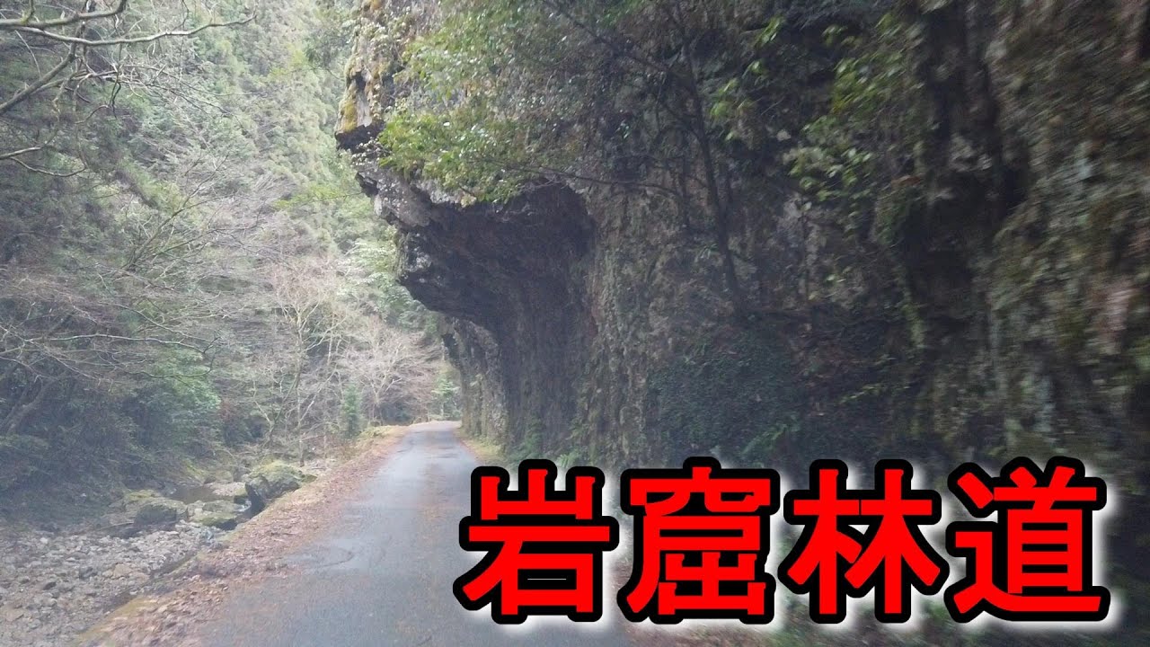 岩窟林道　七宗林道