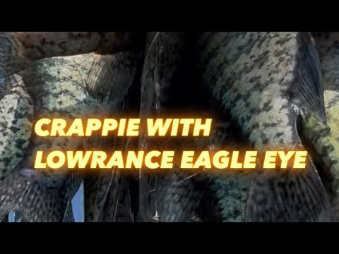 Eagle Eye 9 from Lowrance and how to use it