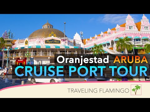 🇦🇼 What to do in Aruba! 🦩 - Aruba Cruise Port Tour