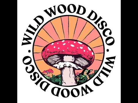 PBR STREETGANG - Mix for WILD WOOD DISCO FESTIVAL