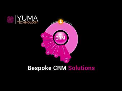 Web Design Agency Explainer Video Animation Example