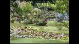preview picture of video 'LAS ESTACAS Parque natural Las Estacas, Edo. Morelos MÉXICO'