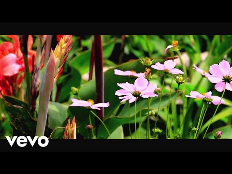 Rommel Hunter - Hora Indicada