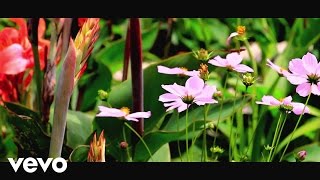 Rommel Hunter - Hora Indicada