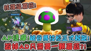 [閒聊] 【Stanley】核彈級蘑菇提摩！一顆蘑菇居