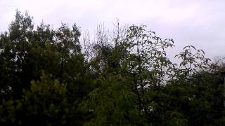 Ahí vienen los warm jets.