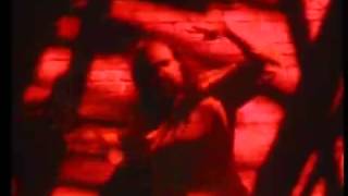 Mercury Rev - Chasing a bee