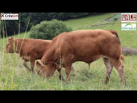 Portes ouvertes à la station de Moussours (Uzerche)