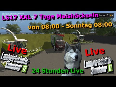 LS17 XXL 7 Tage Maishäckseln Tag 7 Teil 3 Finale 24H + Überstunden Community Stream🛑LIVE🛑