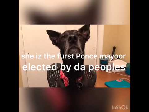 Mayor Maria “Mayita” Melendez Presentation