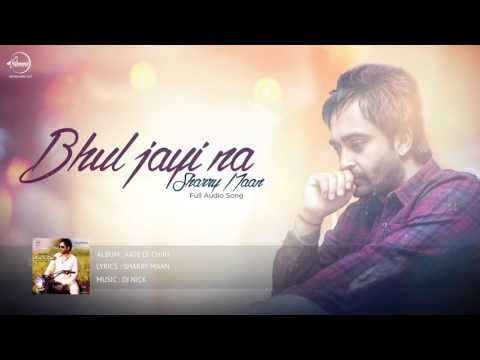 Bhul Jayi Na — watch video