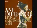 Ani DiFranco "The Million You Never Made" lyrics