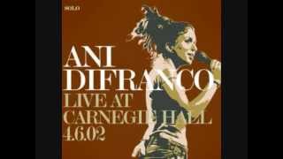 Ani DiFranco &quot;The Million You Never Made&quot; lyrics