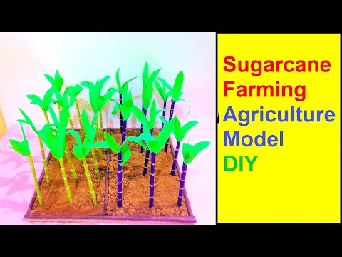 organic farming eco friendly agriculture model inspire award science project diy howtofunda
