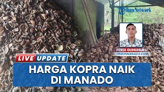 Sempat Merosot Tajam, Harga Kopra Naik Tipis di Manado: Sekarang Jadi Rp19.300 Ribu Per Kilogram