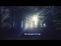 I Need Some Sleep By Eels Slowed Down Reverb Shrek 2 Soundtrack