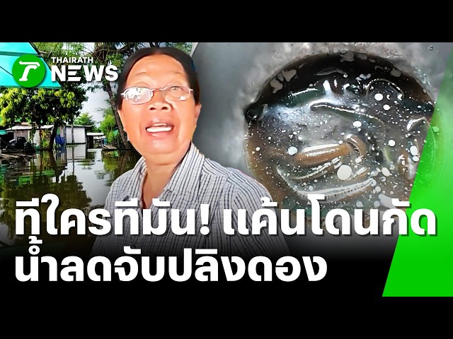 แค้นนี้ต้องชำระ! คุณป้าถูกปลิงกัดนับสิบ เลยจับดองเป็นที่ระลึก | 21 ต.ค. 69 | ข่าวเที่ยงไทยรัฐ