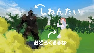 空から変なのが降ってきた……。