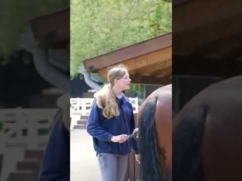 Vicky vs. Ariane - Jack oder Joey besser erzogen?