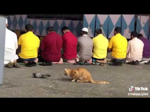 Tu Kuja Man kuja # Best Video on Youtube # 2019