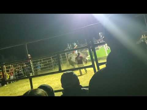 JARIPEO EN SAN JORGE EL ZAPOTE OAXACA 12 NOVIEMBRE 2025