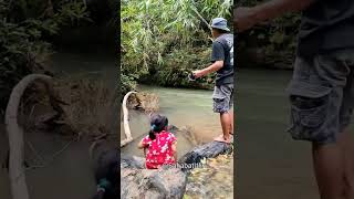 Download lagu CHANA FISH #food #channa #fish #like #viral mp3 Download lagu CHANA FISH #food #channa #fish #like #viral mp3