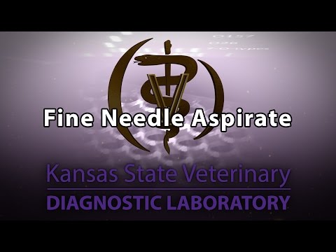 Fine Needle Aspirate