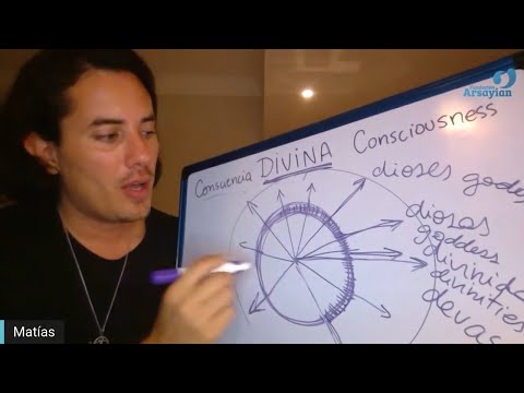 Día 359 - DIVINA - Matias De Stefano - edición en español