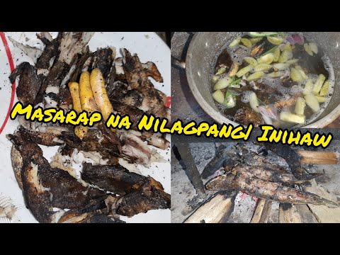 NILAGPANG NA HITO AT DALAG| TURAGSOY |  buhay probinsya
