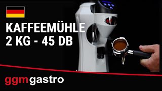 Moulin à café – 2 kg – 45 dB – Avec dosage automatique – Gris