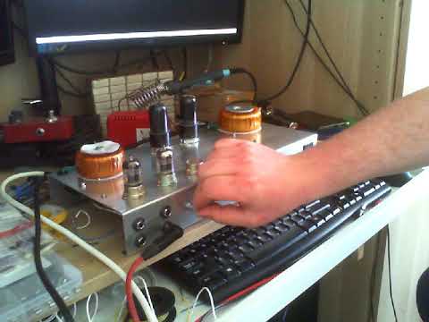 Kinda Tweedle De prototype (Fender Deluxe 5E3 + Dumble mod)