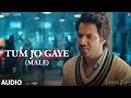 Audio: Tum Jo Gaye (Male Version) - JugJugg Jeeyo || Varun D, Kiara A || Pozy || Bhushan Kumar