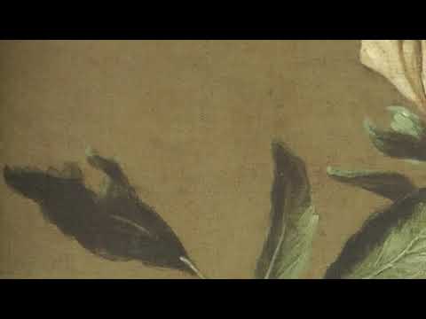 N Jommelli, Dispersit, dedit, Francesca Boncompagni, Ghislieri Choir & Consort, Giulio Prandi